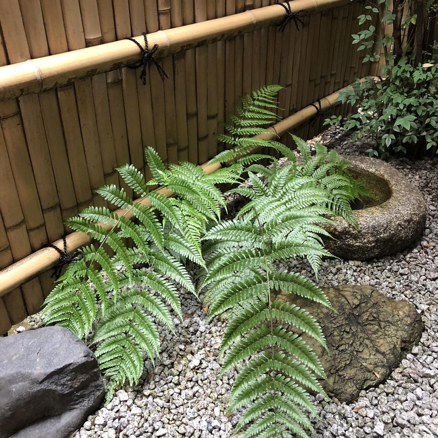 京都nao炬乃座大宫五条邸别墅 外观 照片