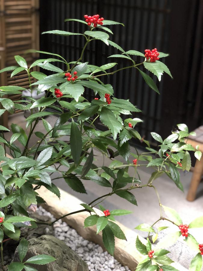 京都nao炬乃座大宫五条邸别墅 外观 照片